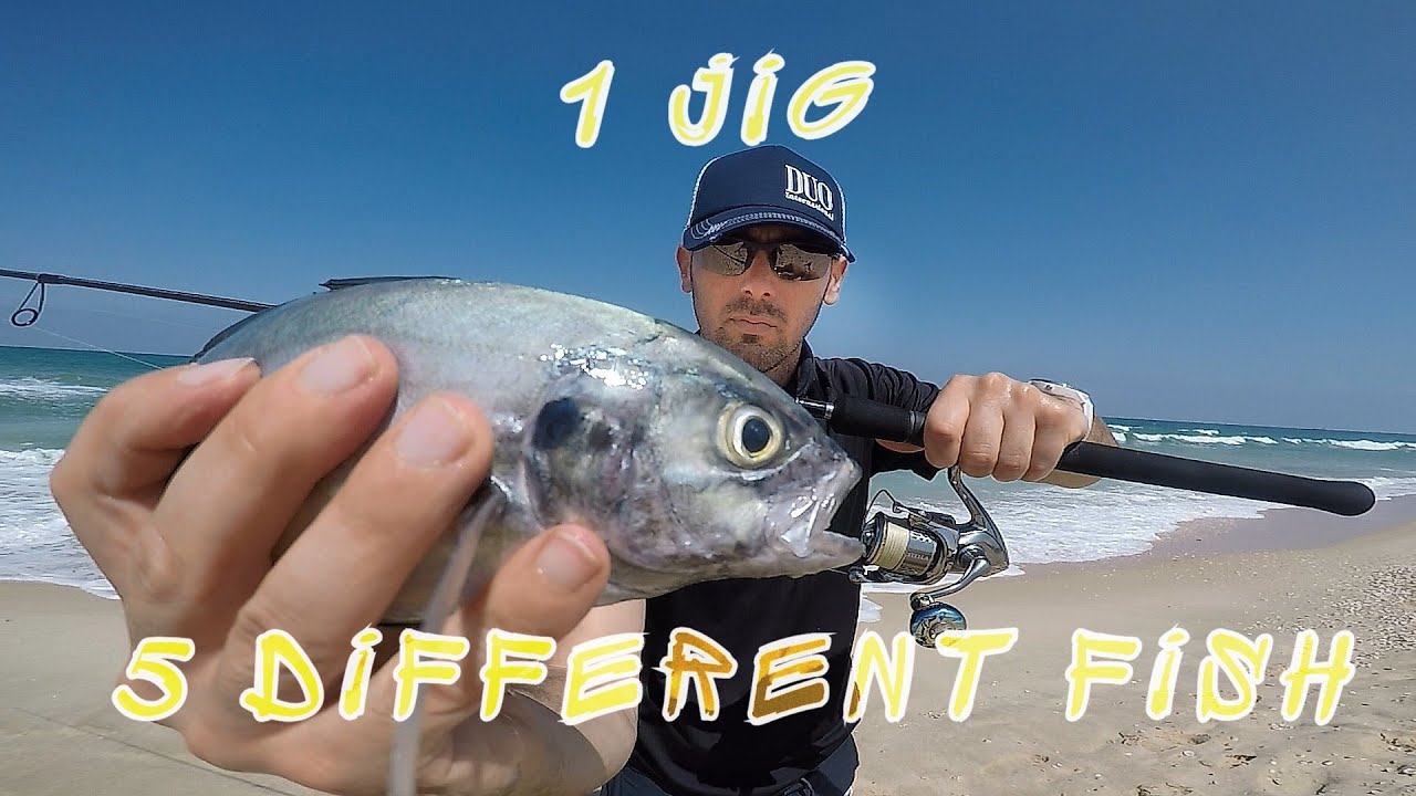 1 jig 5 Different Fish - Major Craft JigPara TG