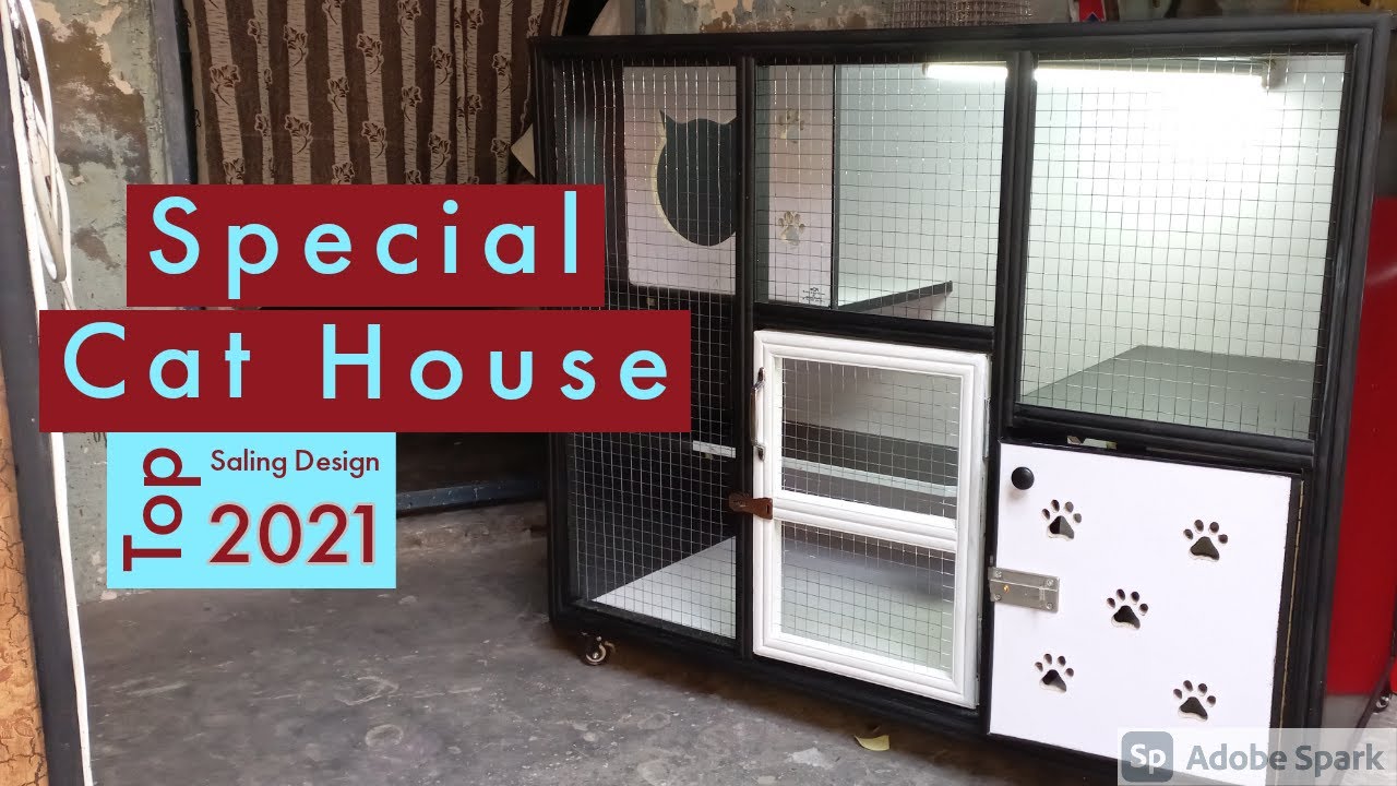 Best Cat Houses In Pakistan || Cat Home Idea