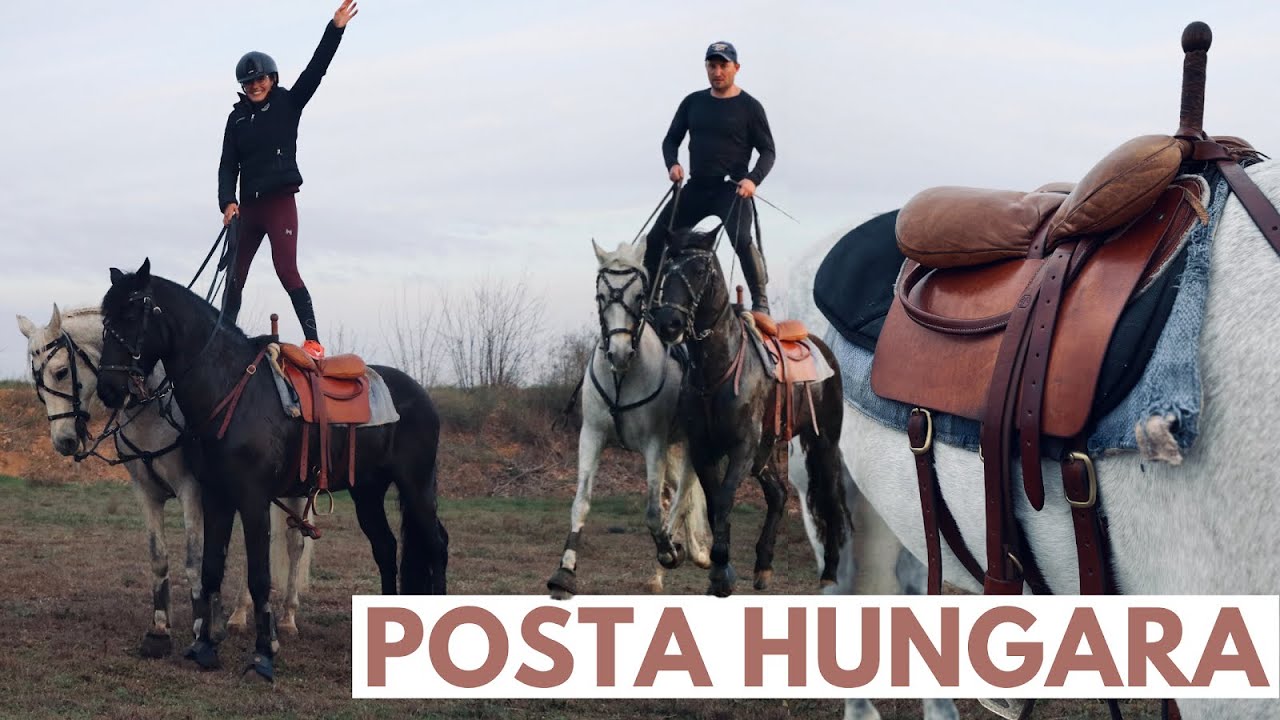Probamos la posta Hungara! 🤸🏼🐴 - DISCIPLINA