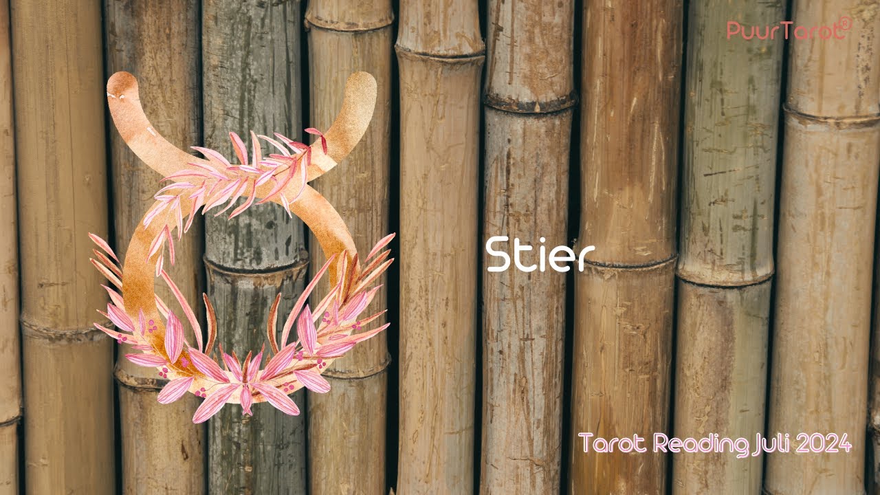 Stier - Beiden Hebben Nog Healing Te Doen Tot Iets Stabiels #juli #tarotreading 2024