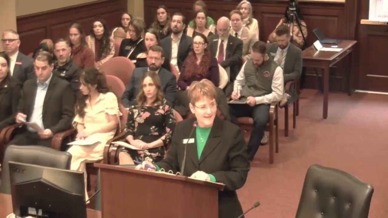 Child Protection Bill by Idaho Senator  Wintrow S1257