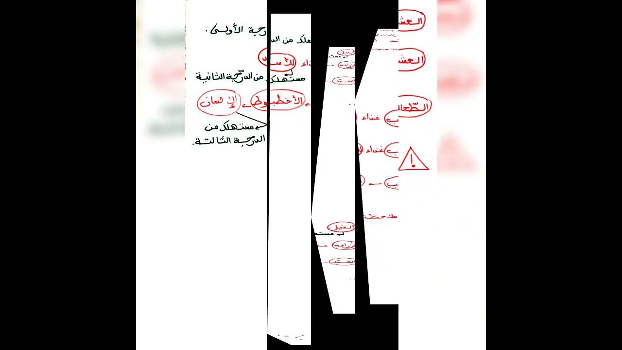 عناصر  الوسط البيٸي (السلسلة الغذاٸية)😍😍ايقاظ علمي سنة خامسة ثلاثي ثالث 😍😍اعداد نهی خليفة ❤