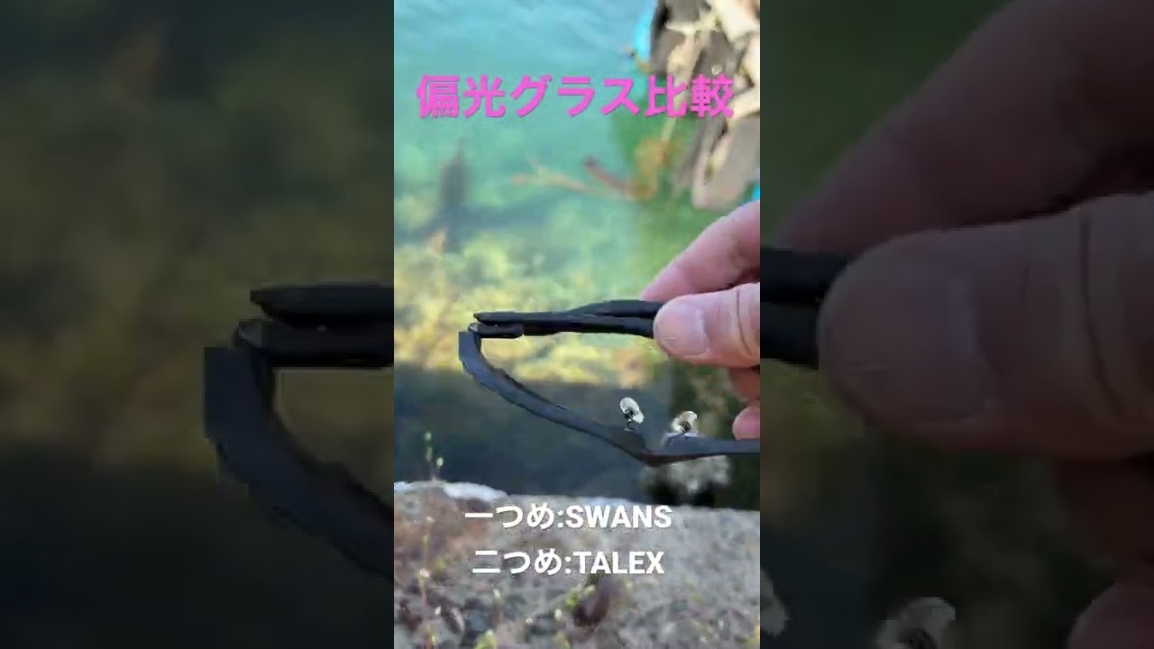 偏光グラス比較、需要あったら動画作ろうかな【SWANS】【TALEX】【偏光レンズ】