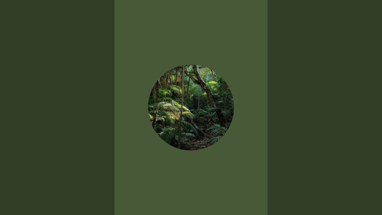 Gk Wildlife Art is live