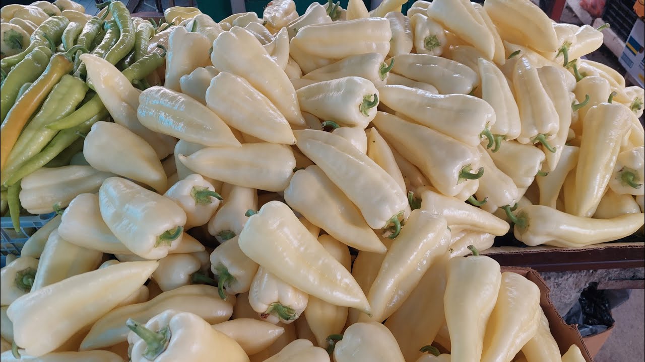 Ovu ranu papriku morate imati u svom plasteniku. Rodna, krupna, otporna i jednostavno najbolja