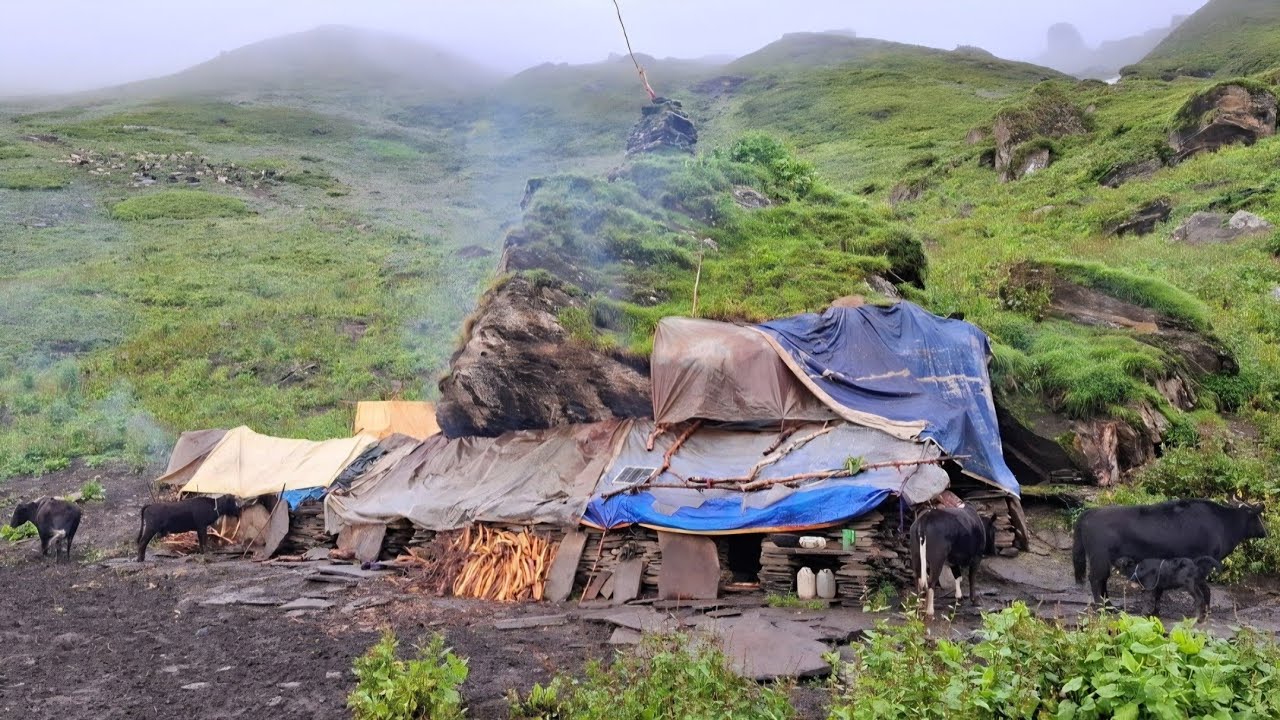 Inside a Nepali himalayan Village | Daily Life & Traditions part 2 