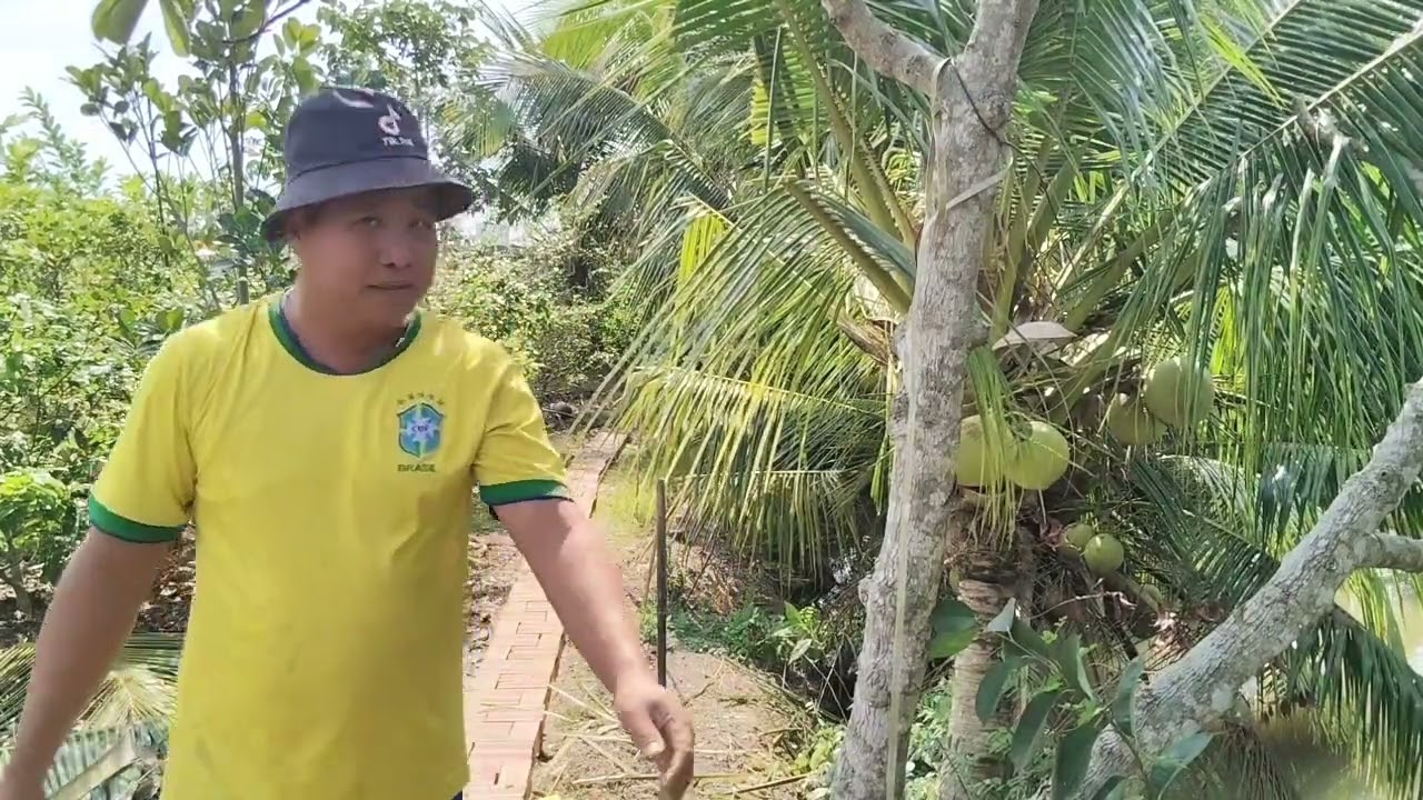Một ngày dọn dẹp vườn để chuẩn bị đón tết đây 