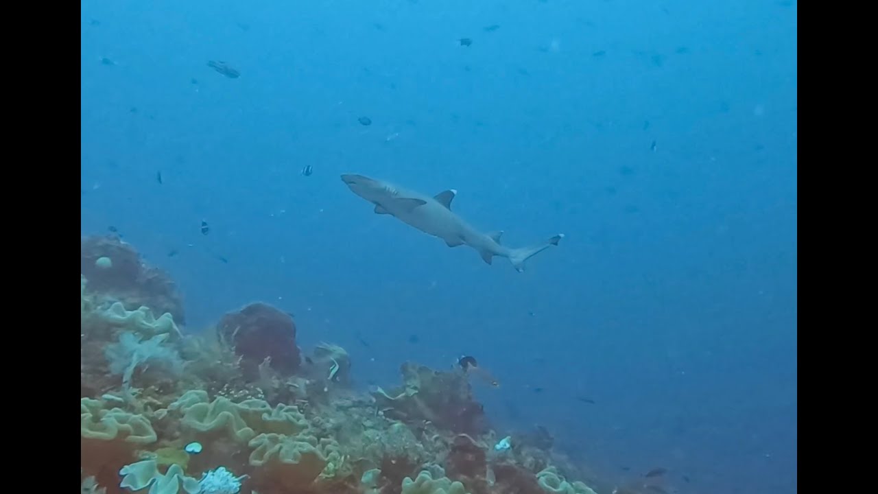 Mike Point & Blue Magic Raja Ampat Indonesia