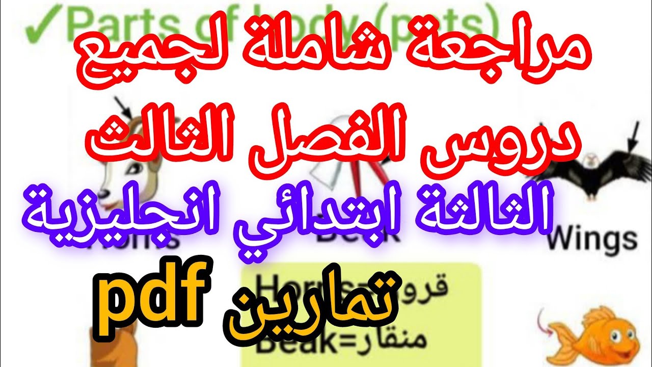 مراجعة قوية و شاملة للفصل الثالث في الانجليزية لتلاميذ السنة الثالثة ابتدائي