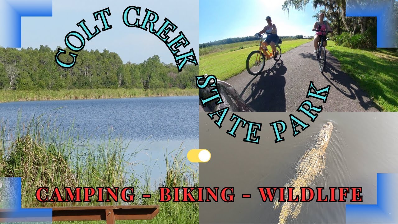 Wild Encounters at Colt Creek State Park: Camping in the New RV Area & a Close Call with a Gator