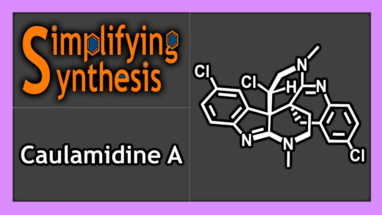 Total Synthesis of (−)-Caulamidine A (Maimone, 2023)