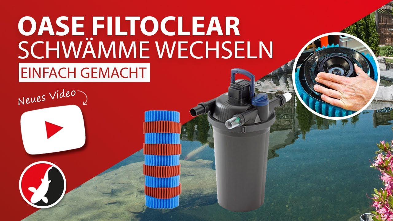Oase Filtoclear Schwämme wechseln einfach gemacht!