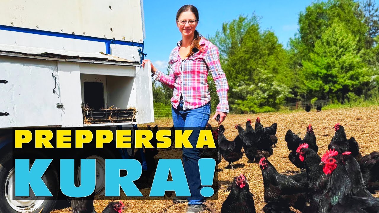 „Prepperska kura” 🐔 – Regeneratywne rolnictwo i niezależność żywnościowa | Zuzanna Szmidel 2025