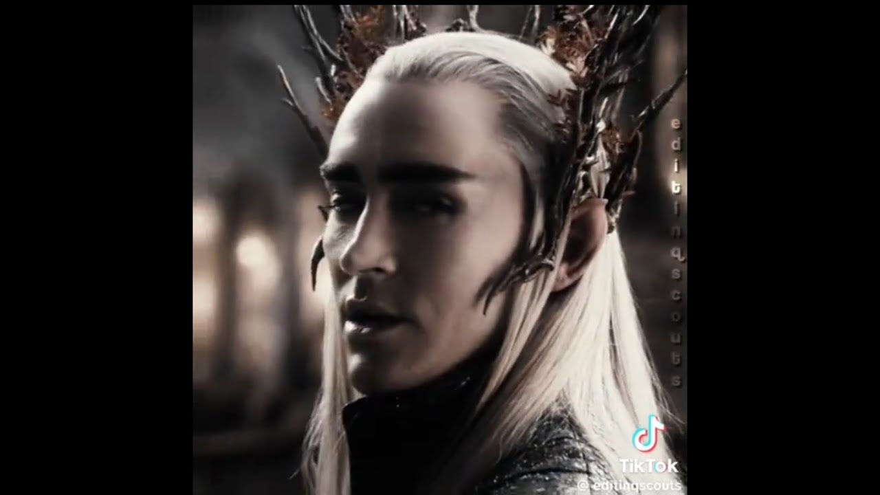 Thranduil Tiktok Edit Compilation