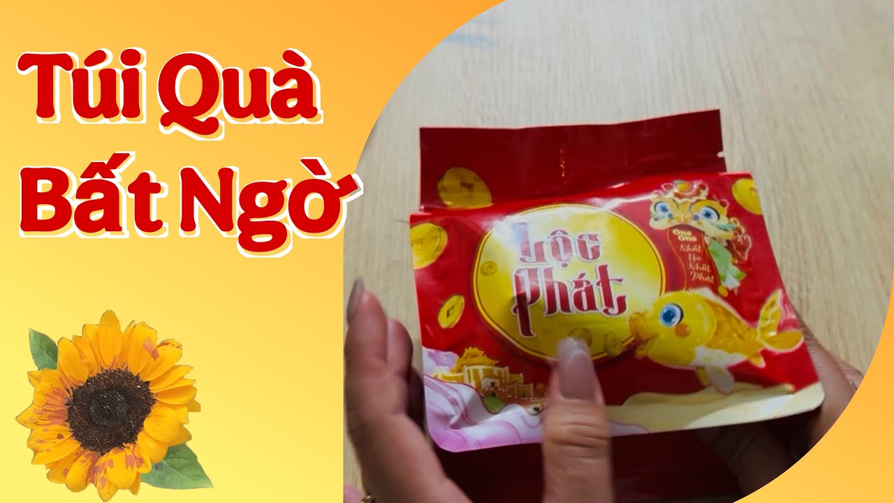 TÚI QUÀ BẤT NGỜ BẠN NHẬN ĐƯỢC SẮP TỚI 🛍️ Người đưa thư #241