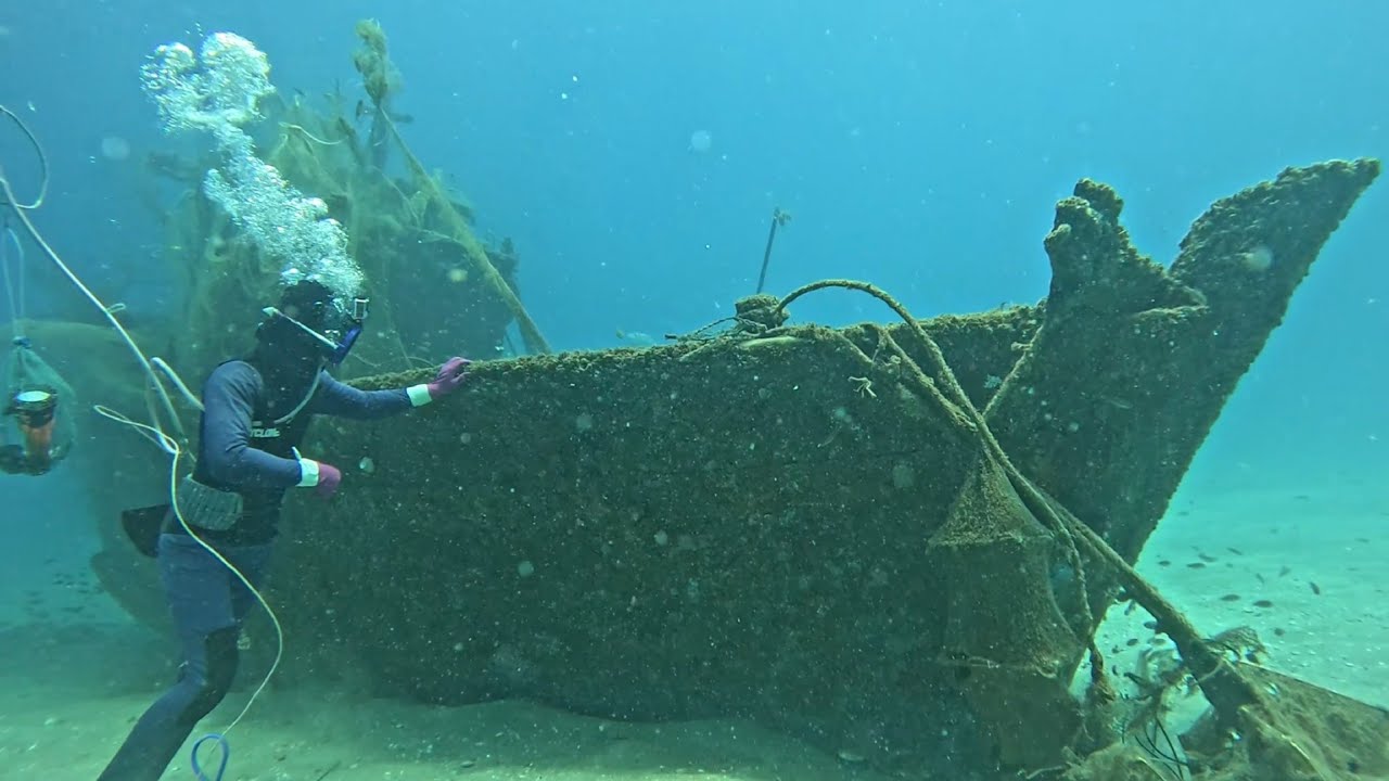 We went diving and discovered a long-sunken ship.