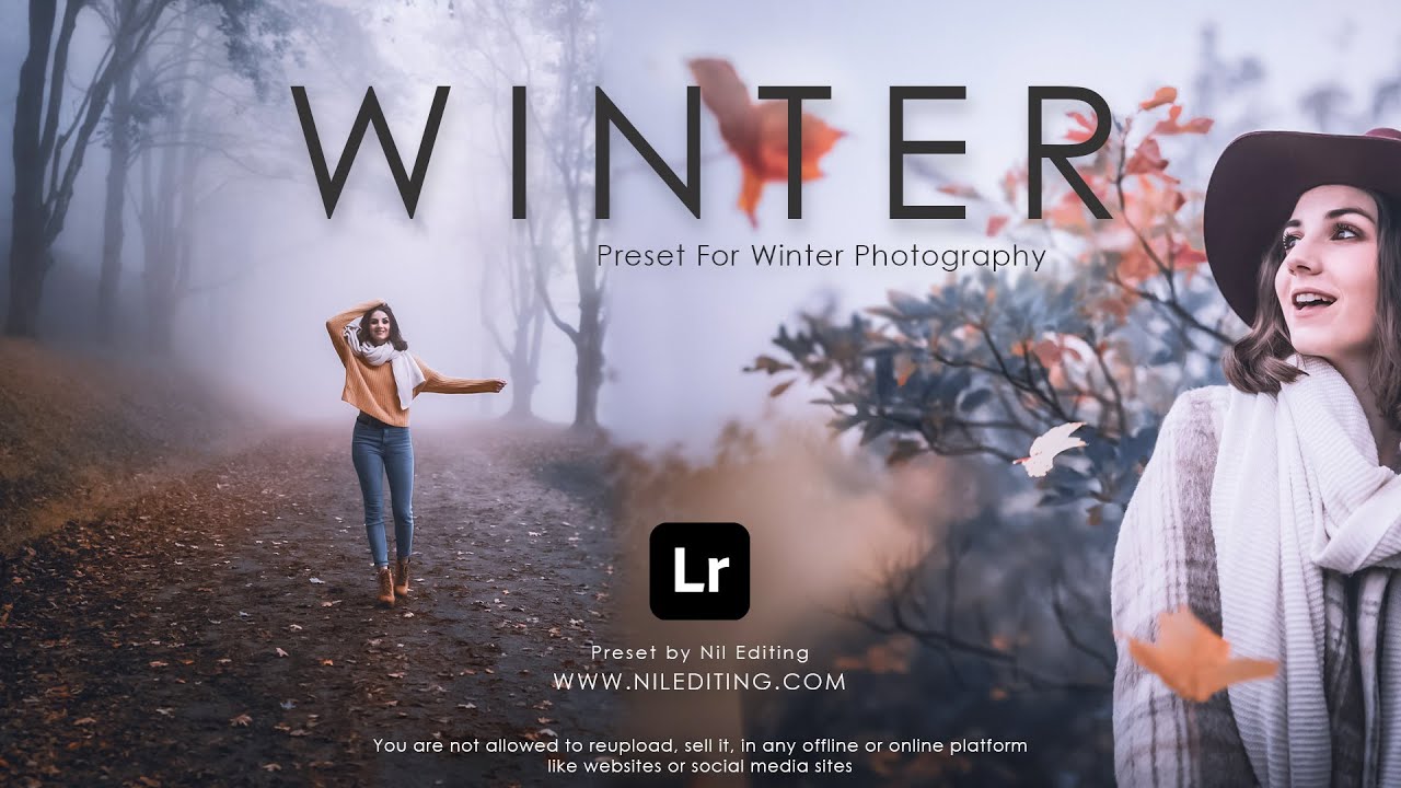 Бесплатные пресеты Lightroom Mobile в форматах DNG и XMP для скачивания | Пресеты для зимней фото...