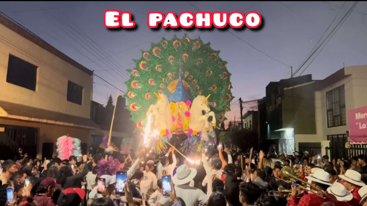 Carnaval toritos de petate tradicional de Morelia Michoacán 2025 toro el Pachuco
