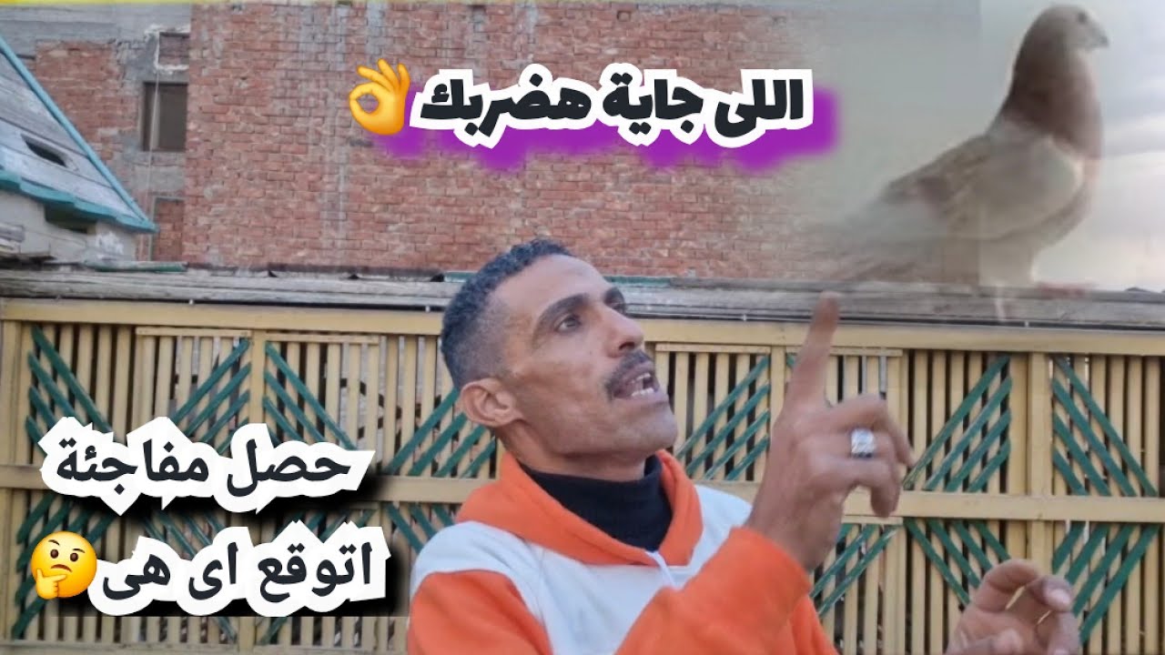 بوظت الخطة وزنقت استرالى للضلمه الجاية هضربه👌