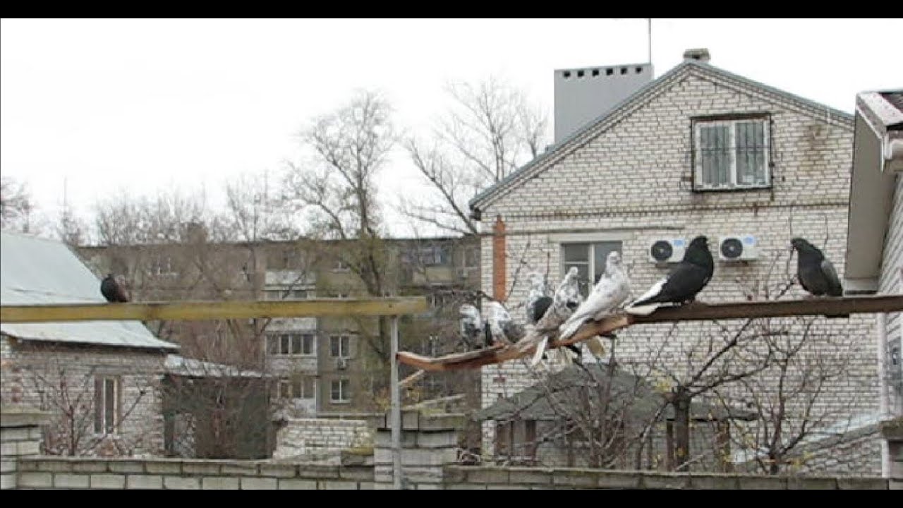 Первый день декабря