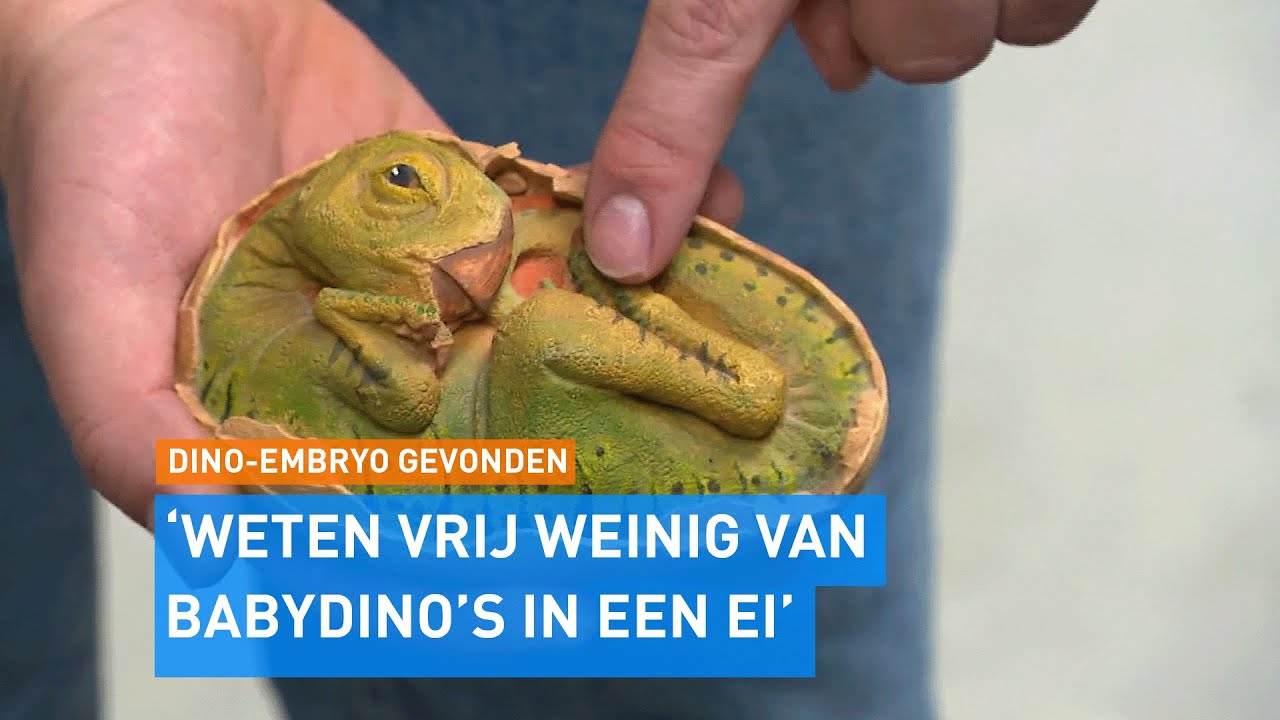Wereldnieuws! Mogelijk DINOSAURUS EMBRYO gevonden in 70 MILJOEN jaar oud EI | Hart van Nederland