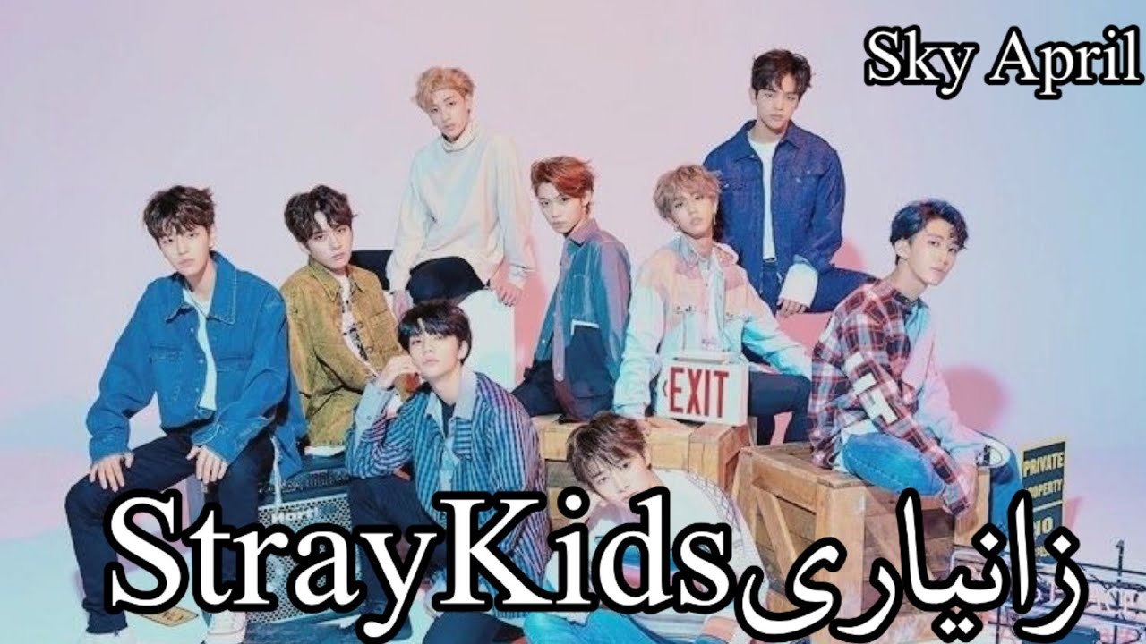 Stray kids information Kurdishزانیاری لەسەر