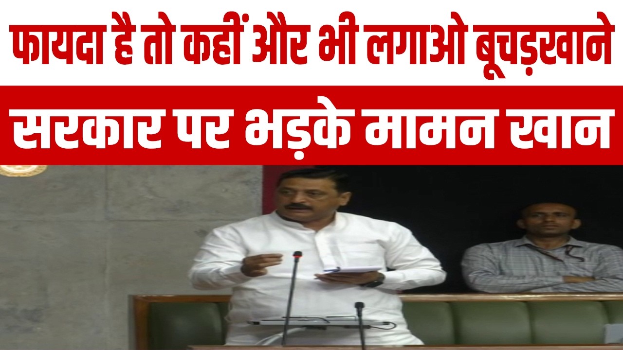 बिजली कट और बूचड़खानों के खिलाफ, सदन में गरजे मामन खान