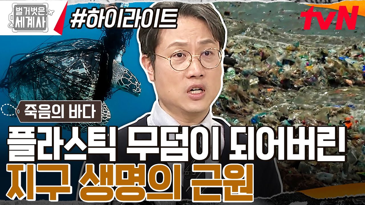망망대해 충격적 쓰레기 섬들!! 플라스틱 쓰레기통 = 바다?? 🌊 해양생물의 무덤이 되다... #highlight #벌거벗은세계사 EP.90