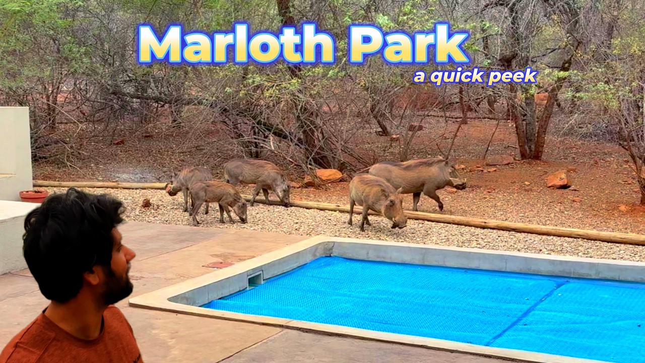 Marloth Park — What a Concept!
