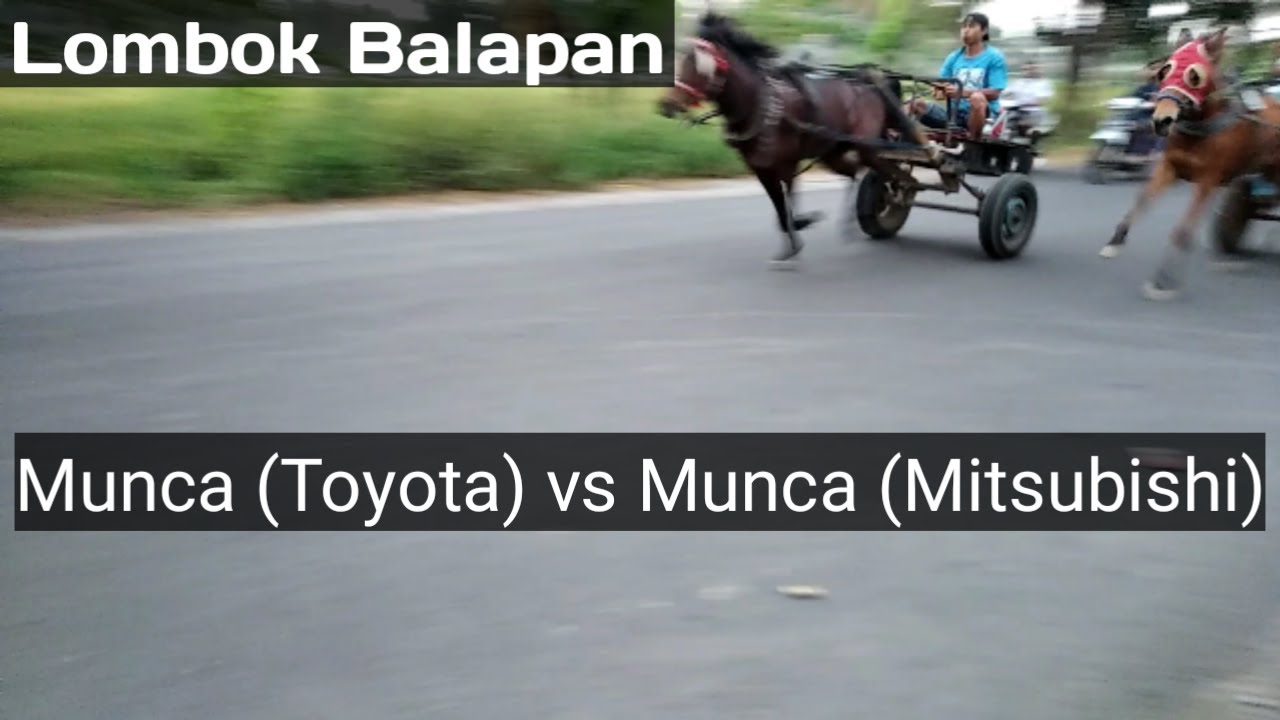 Munca Toyota vs Munca mitsubishi-sama-sama kencang dan miliki banyak suporter