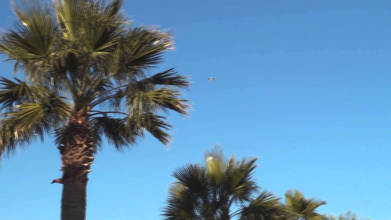 Swedish Air Force Gripens arrive at Nellis AFB