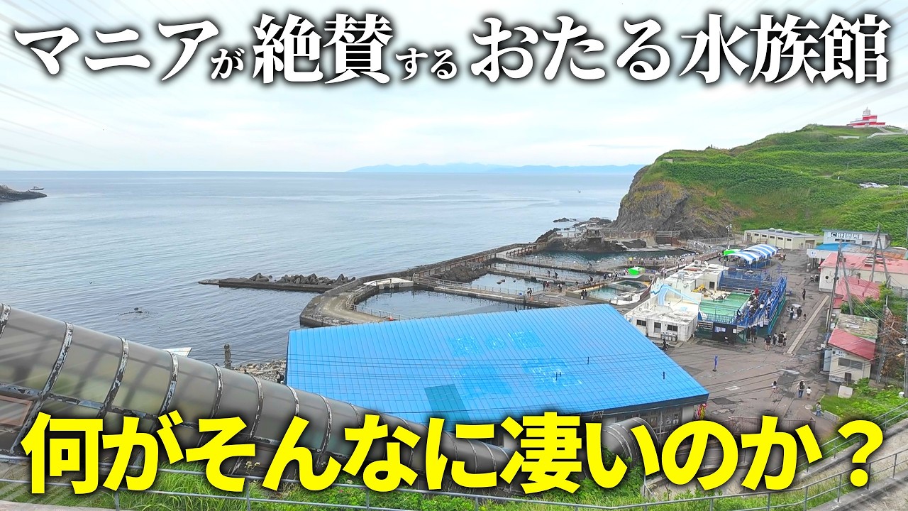 【おたる水族館】北海道で一番巨大な水族館が凄すぎる…！【水族館マニアが徹底解説レビュー】