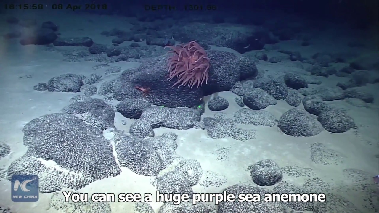 Chinese deep-sea robot's journey to 