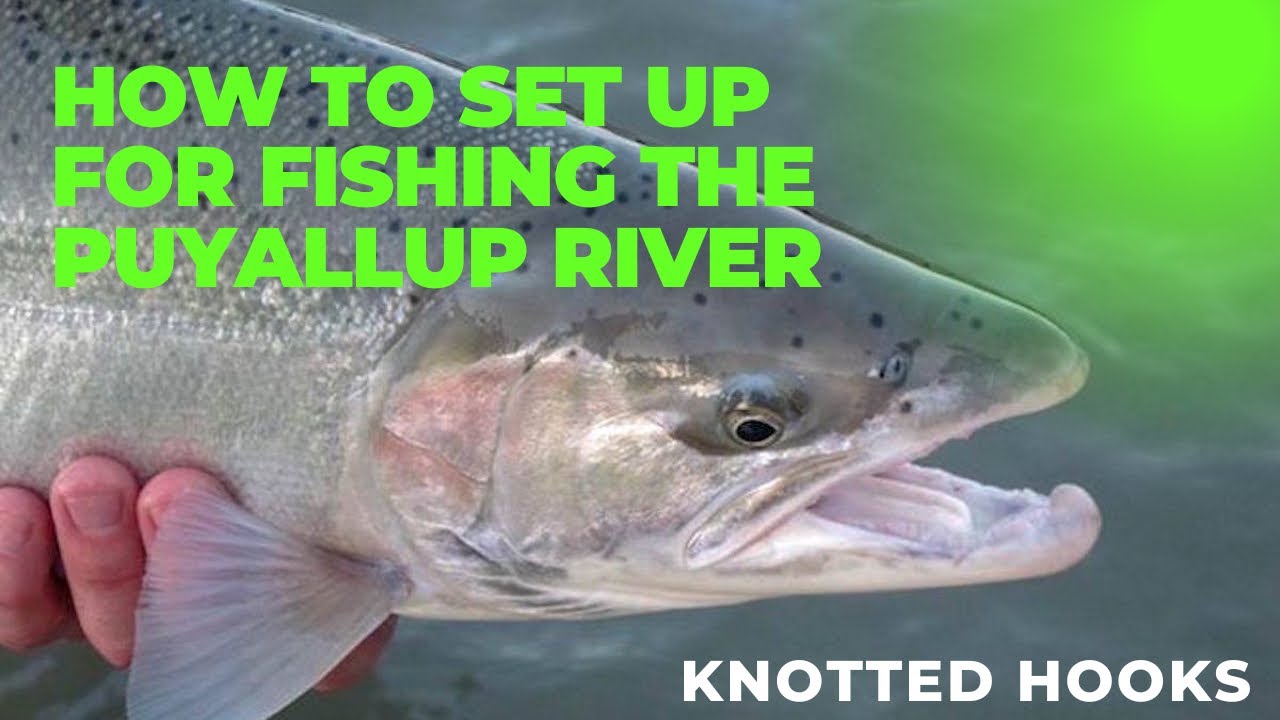 Puyallup River Fishing Setup