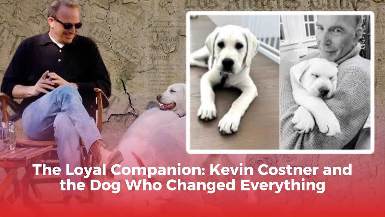 The Loyal Companion: Kevin Costner and the Dog Who Changed Everything