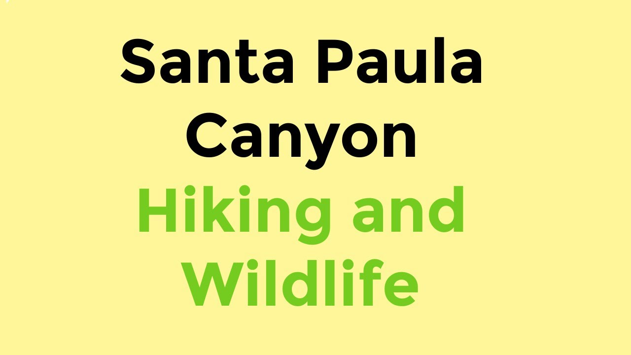 Living In Santa Paula, CA Hiking  Along Santa Paula Creek
