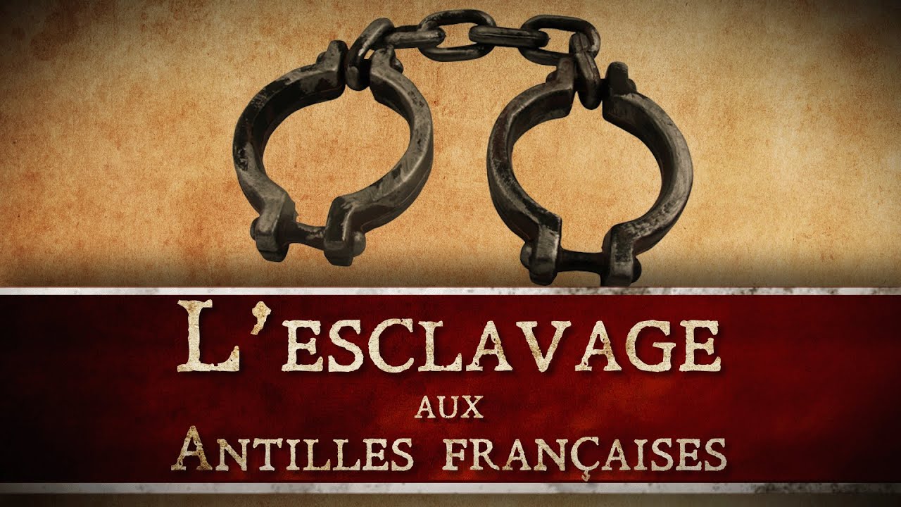 Comment &eacute;tait organis&eacute;e la traite atlantique vers les Antilles fran&ccedil;aises ? [QdH#46]