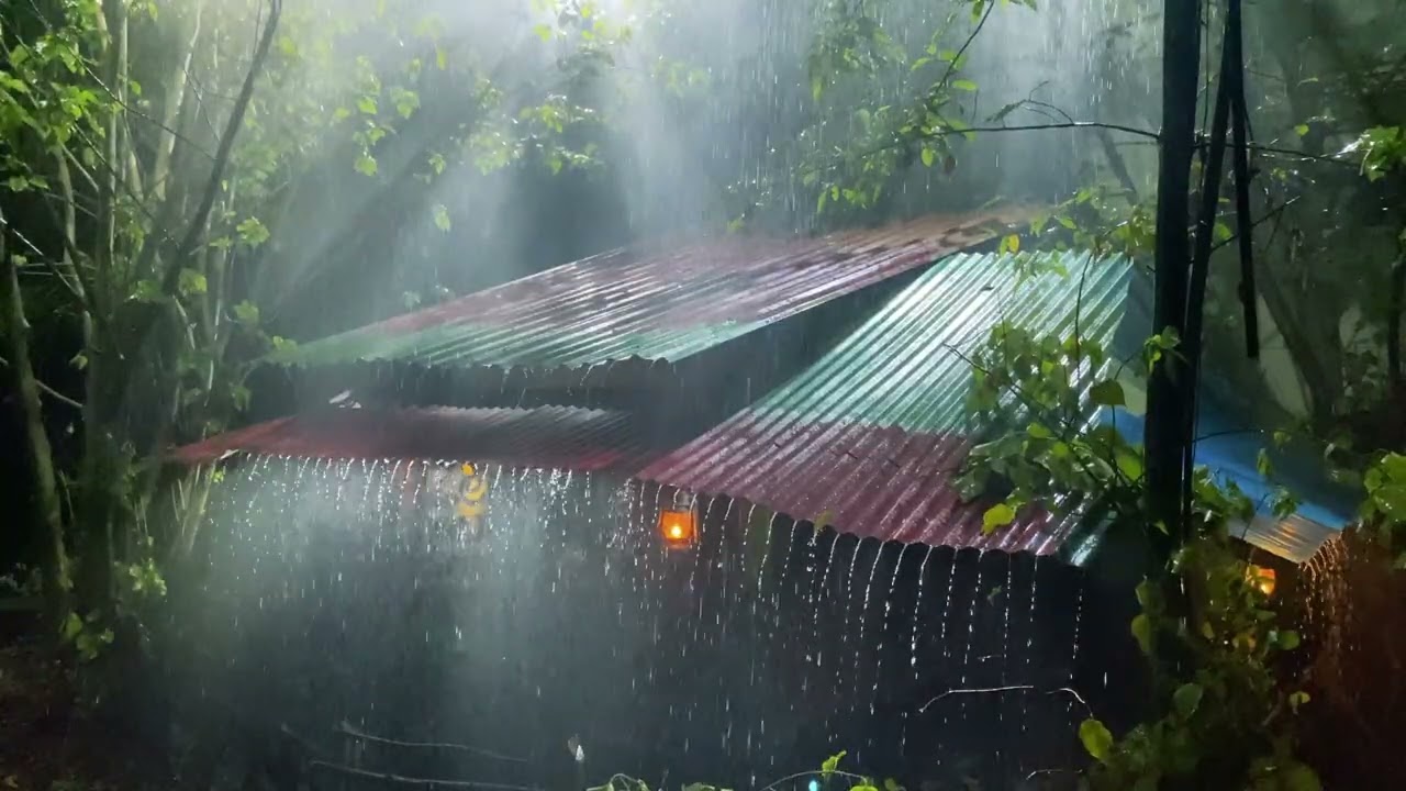 🎧🌧🙏🏽 40 HZ | Heavy Rainfall | Deep Sleep, Focus, Mindfulness