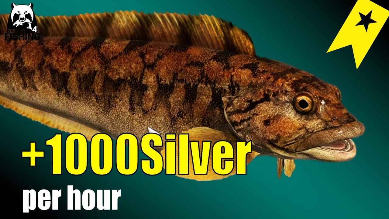 Russian Fishing 4 – Норвежское море – Легкий заработок серебра! 1000+/час. #rf4 #russianfishing4 ...
