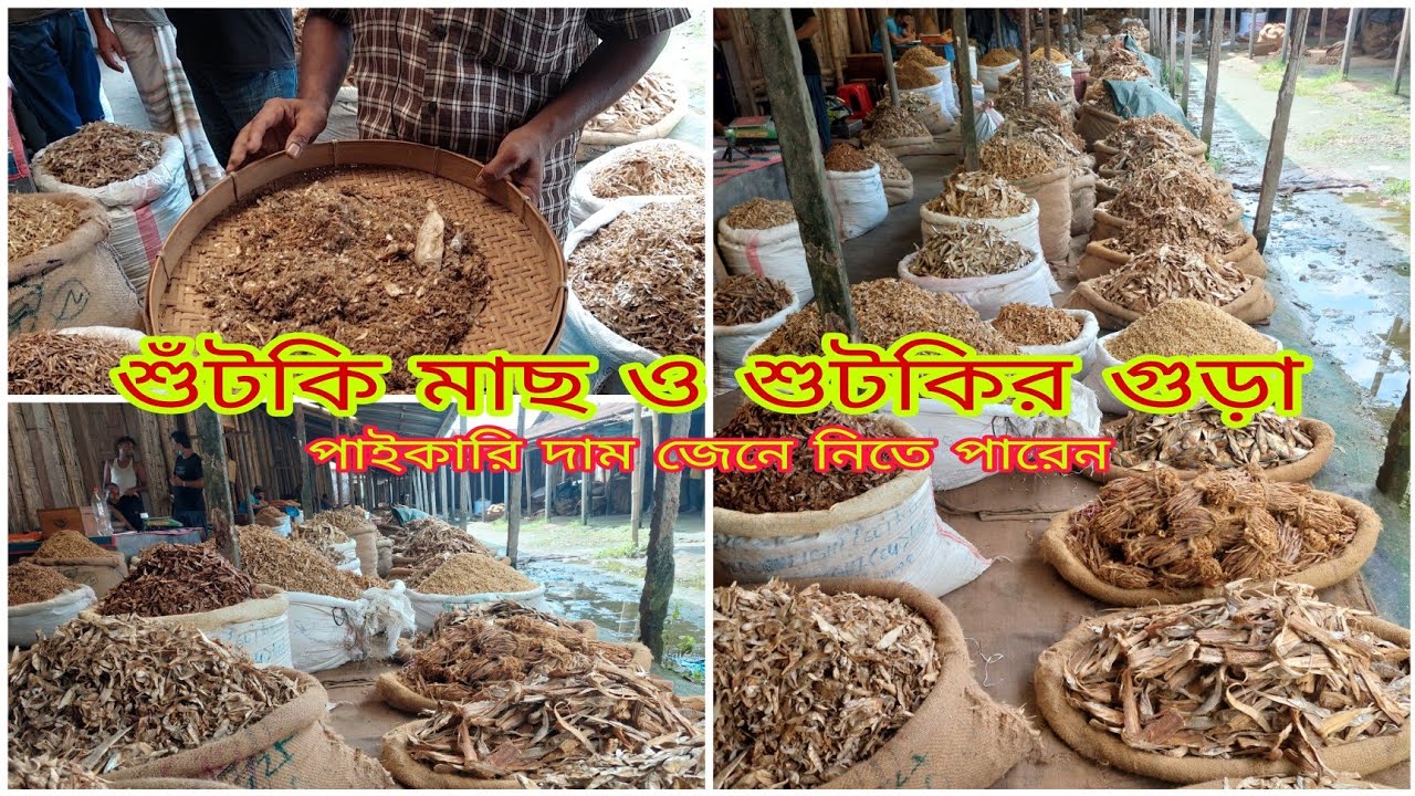 সস্তায় শুঁটকি মাছ ও শুঁটকির গুড়া কিনতে পারেন।Price Of Dried Fish In Bangladesh।