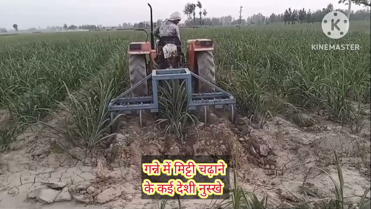 गन्ना फसल में अब लेवर लगाने की झंझट होगी खत्म,किसान साथी अपनाएं यह तरीका@kisankaryashala #viral