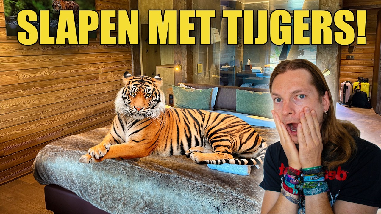SLAPEN bij de TIJGERS! (Pairi Daiza)
