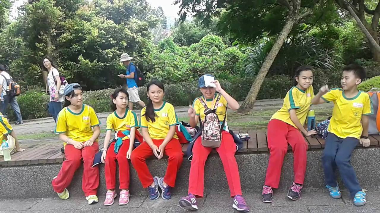 40917製