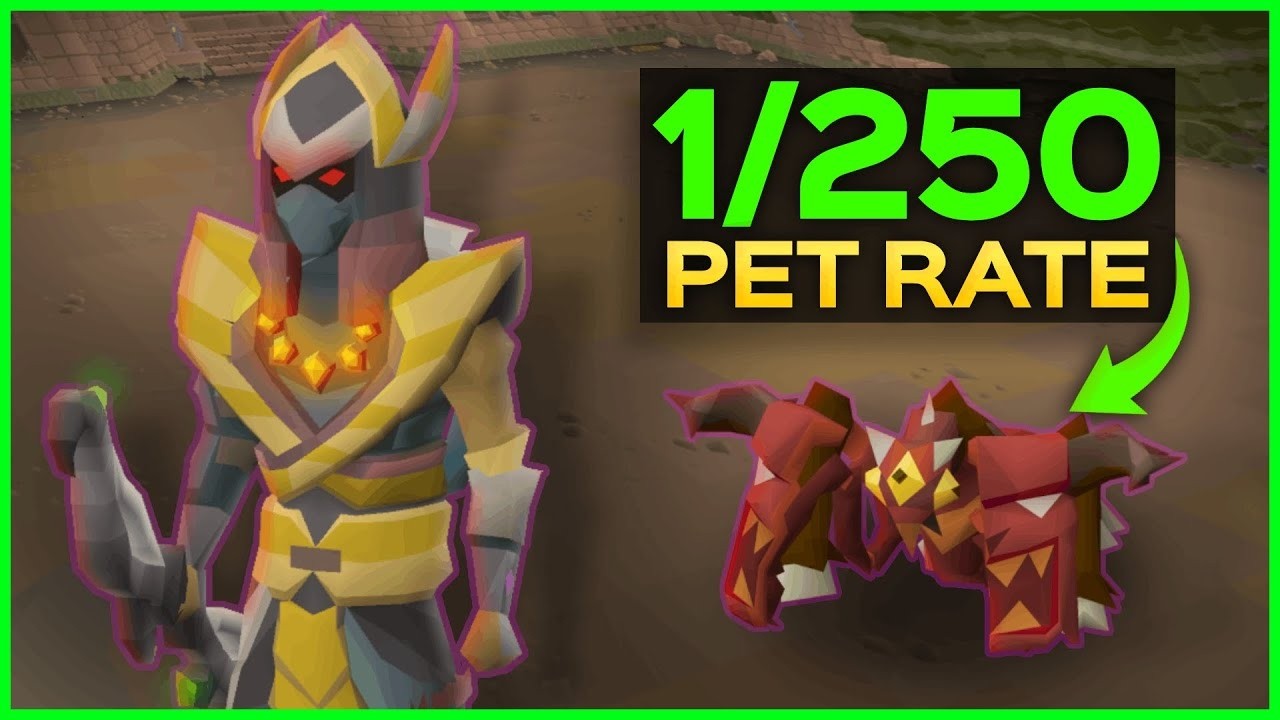 EASY Pets To Get in OSRS