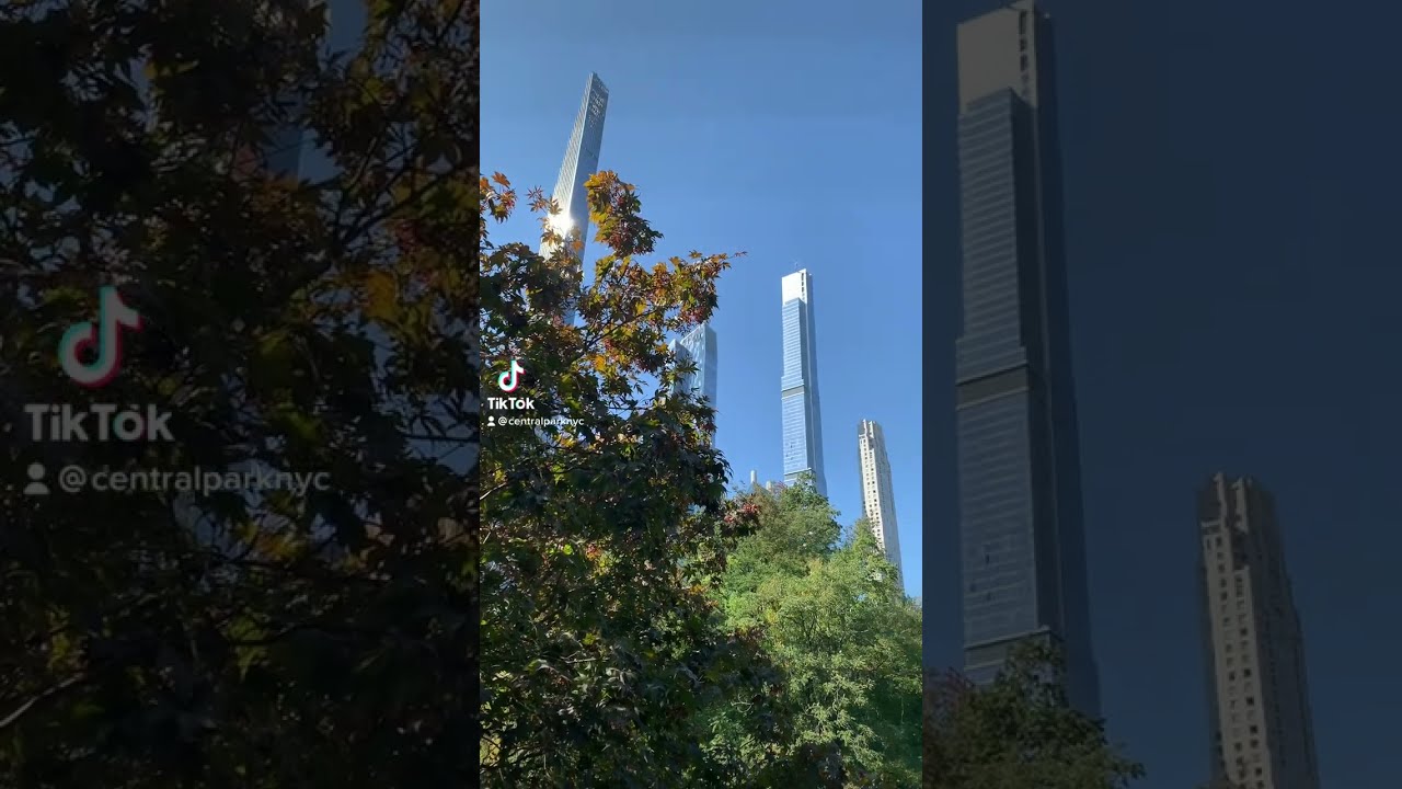 Where to Find Fall Foliage in Central Park 
