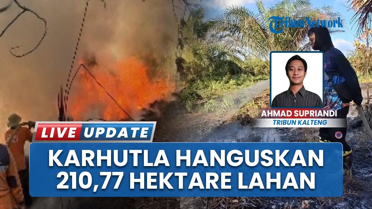 Awal 2026, Karhutla Sudah Hanguskan 210,77 Hektare Lahan di Kalteng