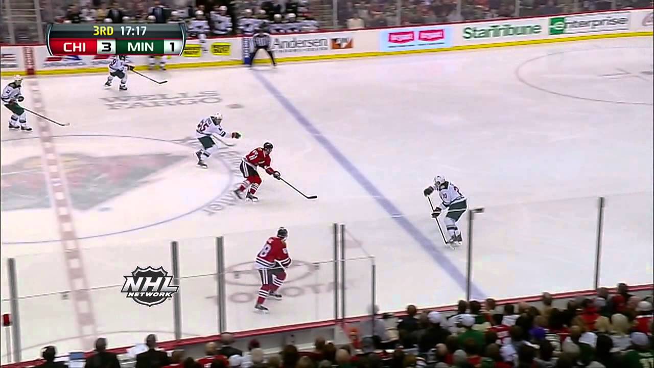 Top 10 NHL Goals of the Year - 2013