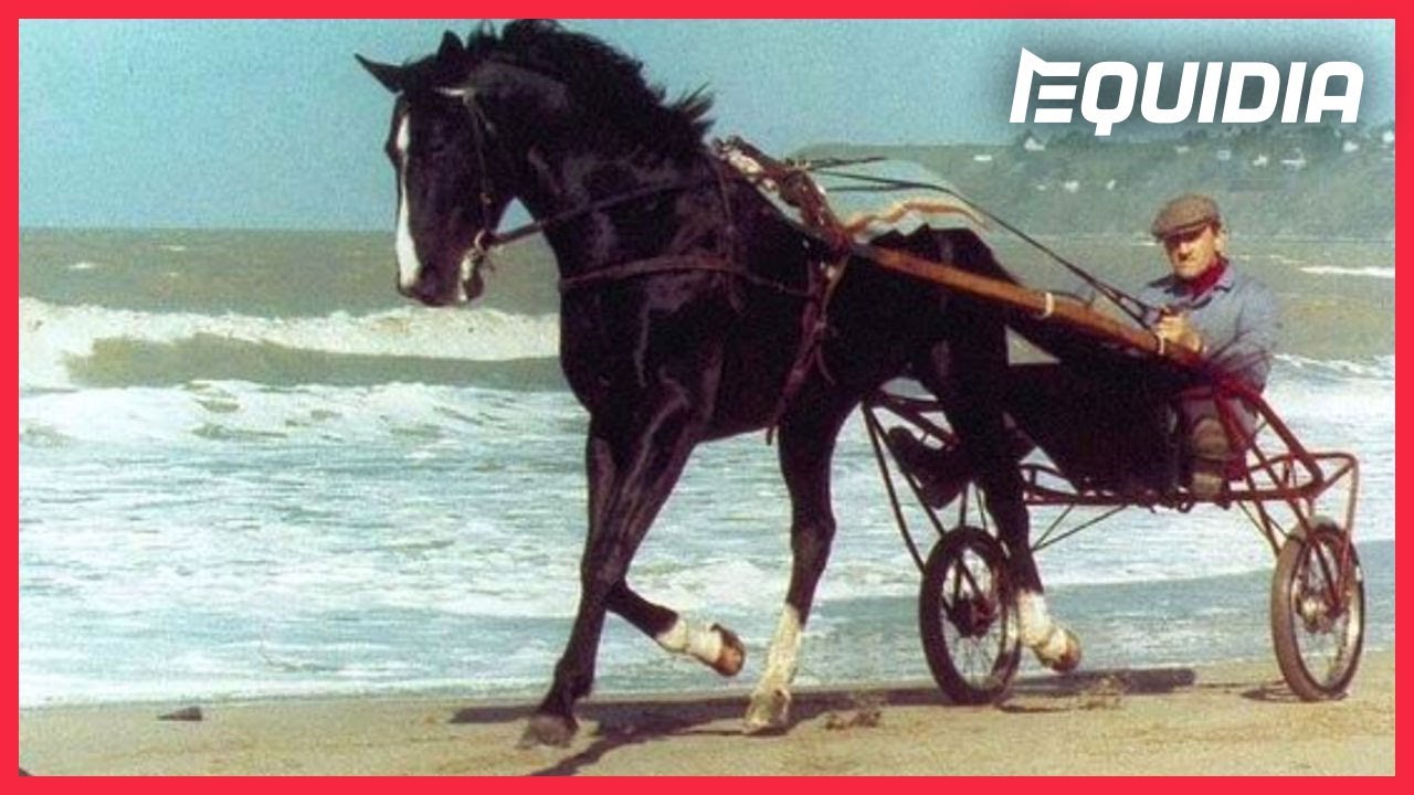 IDÉAL DU GAZEAU, LES SOUVENIRS D’EUGÈNE LEFÈVRE...