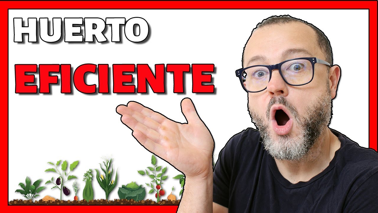⭕DESCUBRE cómo es un HUERTO EFICIENTE y que LUCHA contra el Cambio CLIMÁTICO🔜(Huerto Circular Junio)