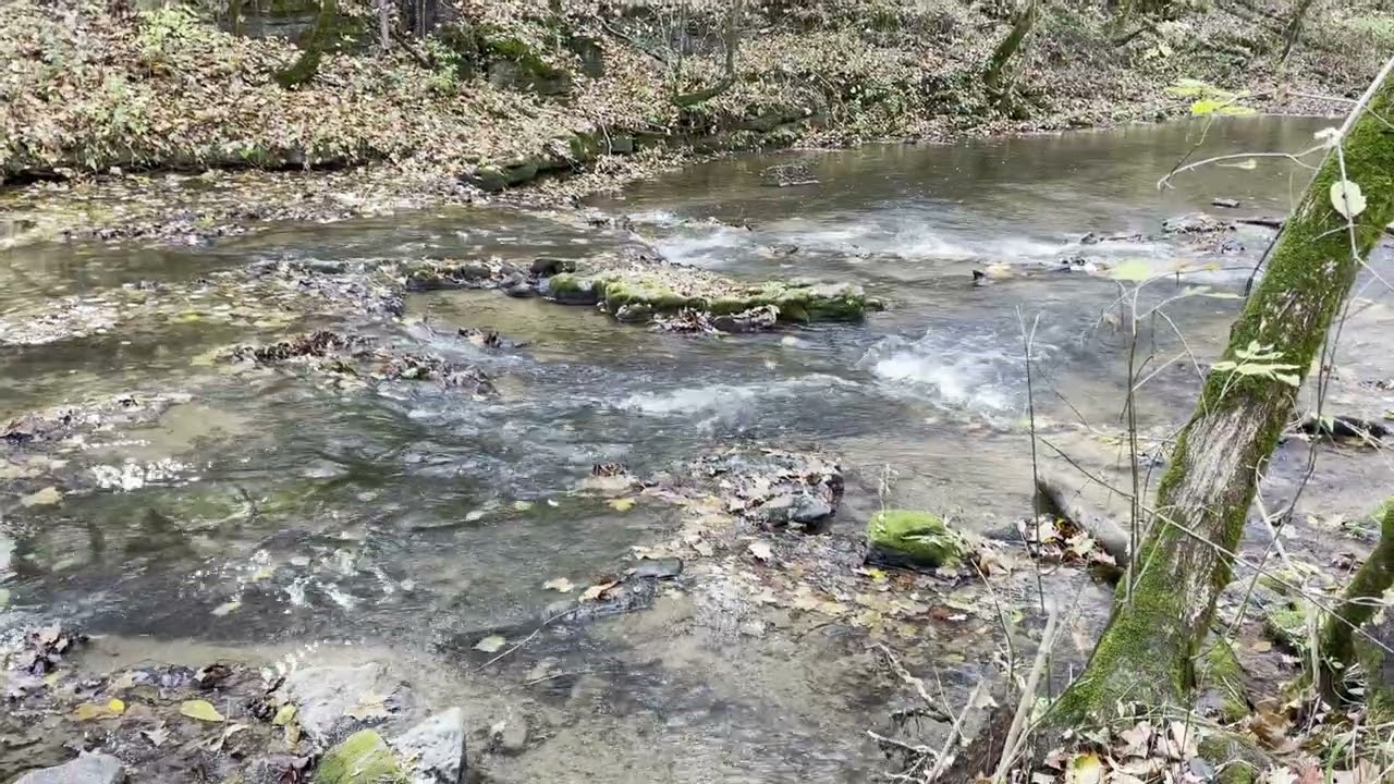 Fishermens Walk - Buffalo Creek Falls Grainger, TN